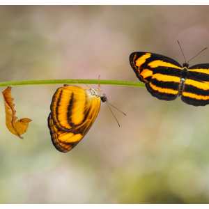 Change. Do we Like It?...….Maybe. But Also Maybe Not!