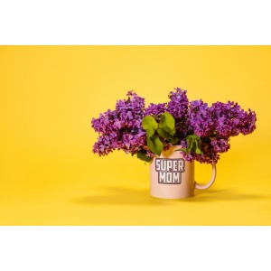 Salute to the Mothers Who Do It All