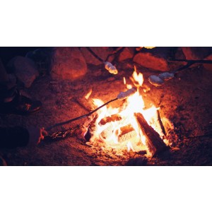 Campfire cuisine  
