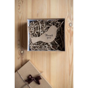 Pay it Forward Story