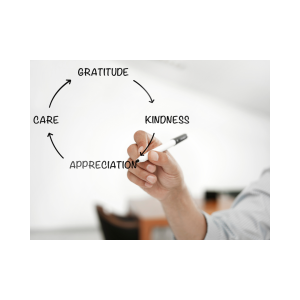 Strategy #6 | Express Gratitude